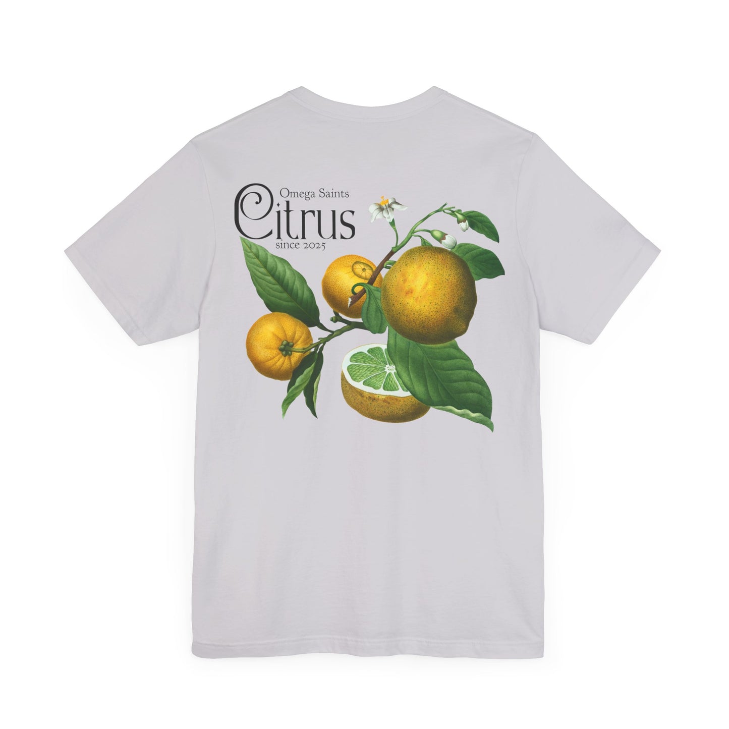 Minimal Citrus Fruit T-Shirt – Lime, Lemon, Orange, Grapefruit Design