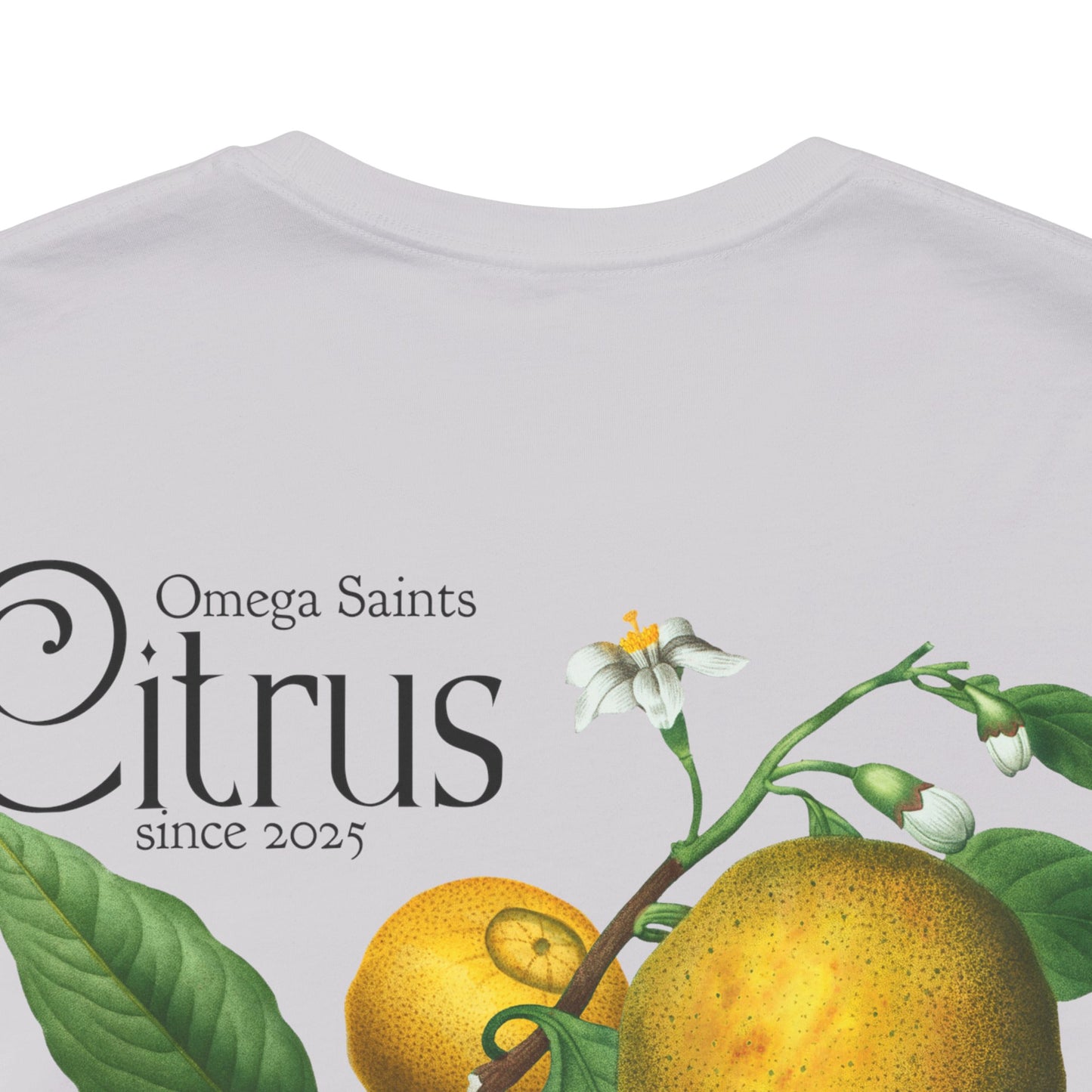 Minimal Citrus Fruit T-Shirt – Lime, Lemon, Orange, Grapefruit Design