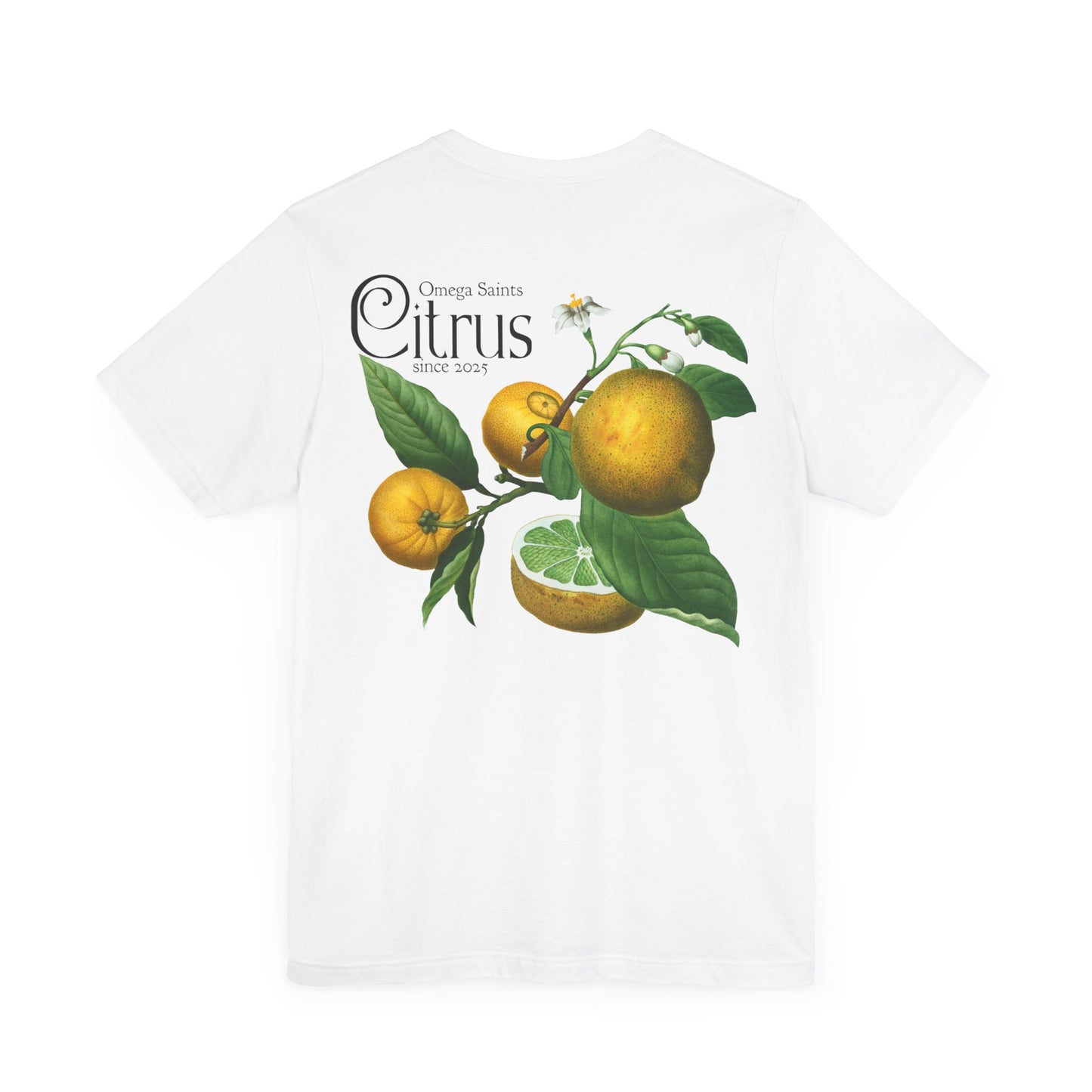 Minimal Citrus Fruit T-Shirt – Lime, Lemon, Orange, Grapefruit Design