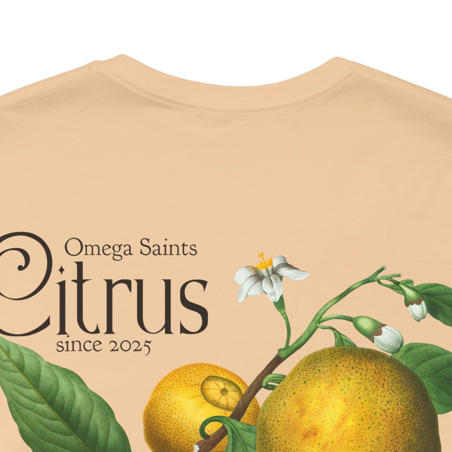 Minimal Citrus Fruit T-Shirt – Lime, Lemon, Orange, Grapefruit Design