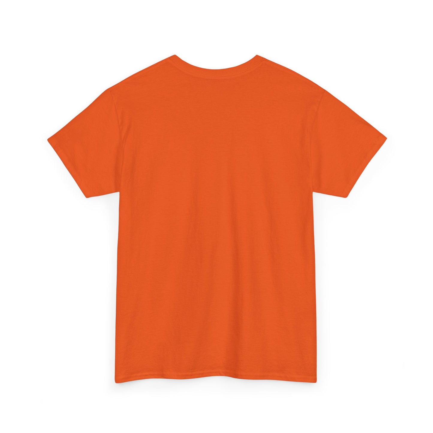 Koi Carp Tee - Japanese Style Unisex T-Shirt with Serene Energy