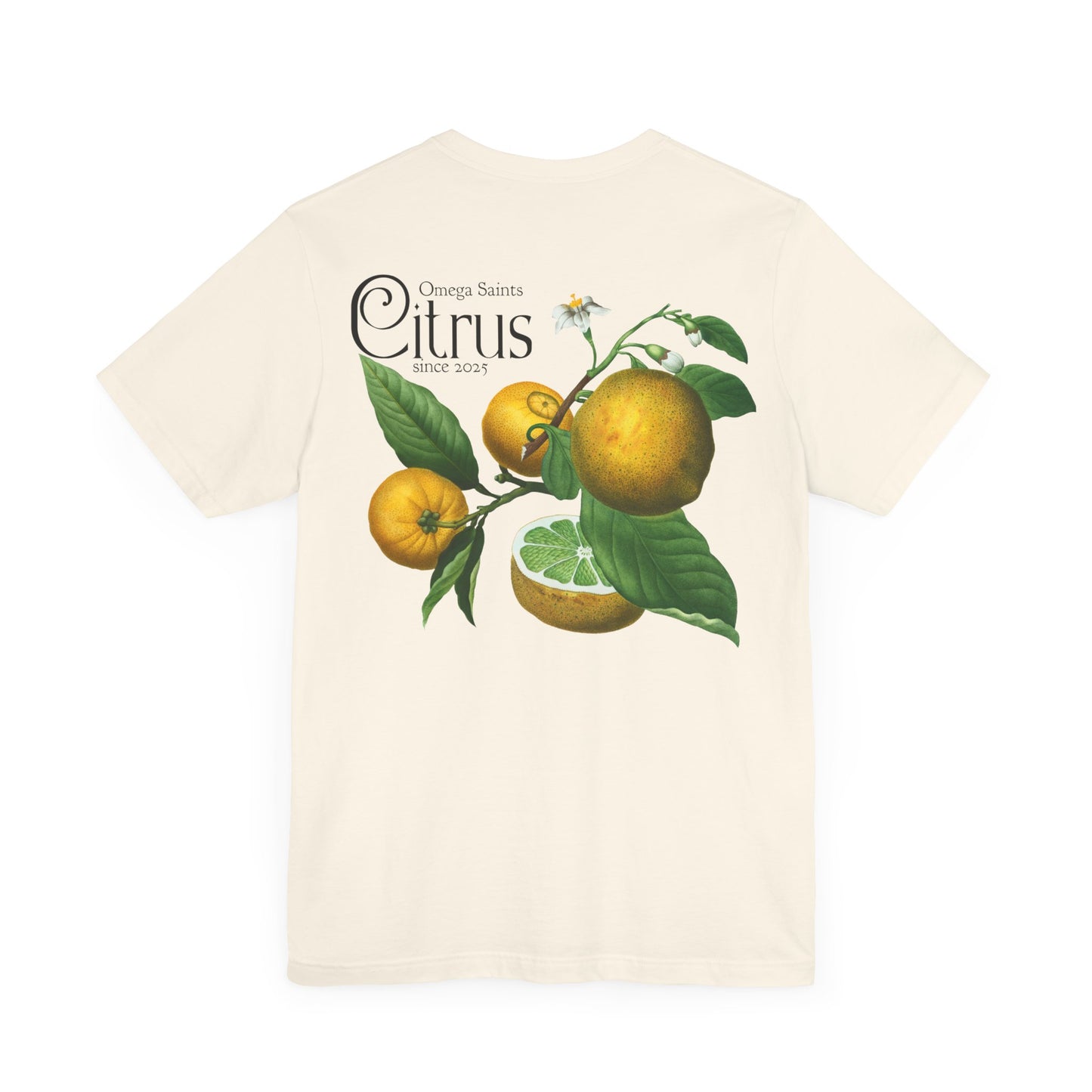 Minimal Citrus Fruit T-Shirt – Lime, Lemon, Orange, Grapefruit Design