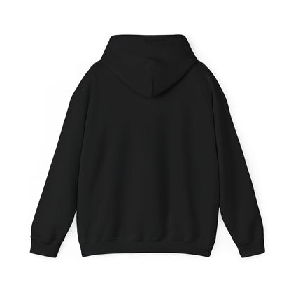 Japan Temple Bird Hoodie – Omega Saints Collection